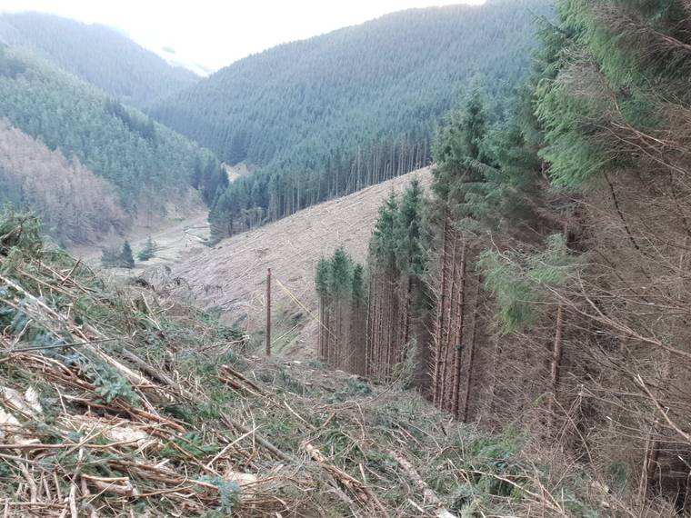 A steep valley clearfell site with standing conifers along the ridge