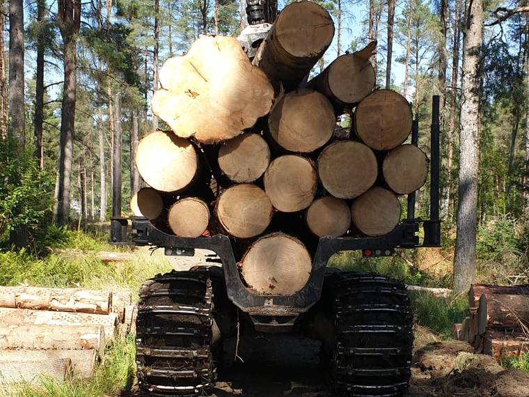 A tracked forwarder loaded with cut timber on a forest ride