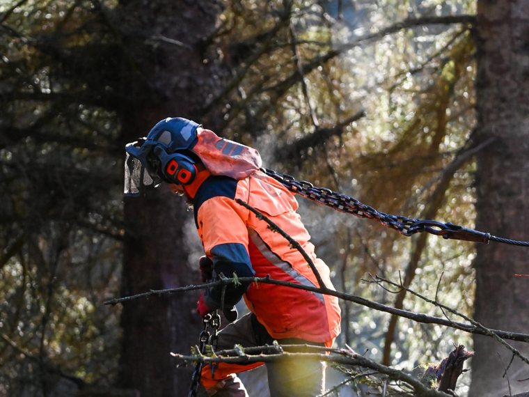 A forestry worker in high-visibility protective clothing carrying a choker chain